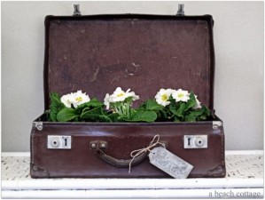 Upcycled-Vintage-Suitcase-DIY-Planter-620x466